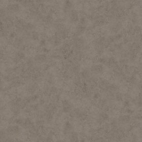 Misty Grey close-up