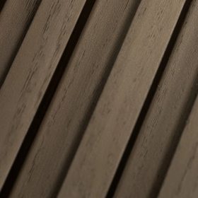 Birch Wood close-up